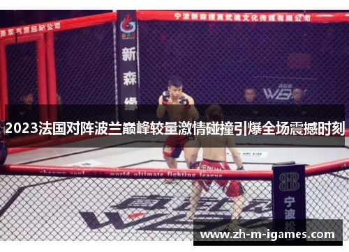 2023法国对阵波兰巅峰较量激情碰撞引爆全场震撼时刻 2023法国对阵波兰巅峰较量激情碰撞引爆全场震撼时刻