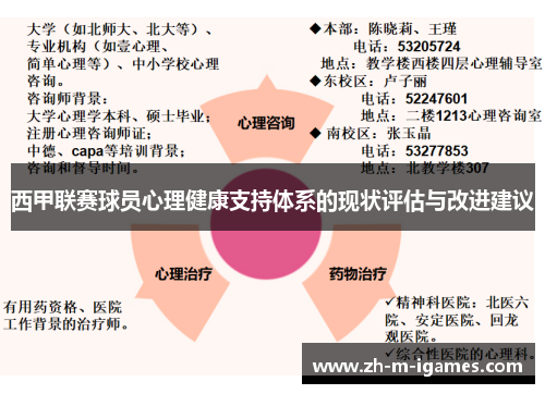 西甲联赛球员心理健康支持体系的现状评估与改进建议 西甲联赛球员心理健康支持体系的现状评估与改进建议