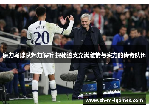 魔力鸟球队魅力解析 探秘这支充满激情与实力的传奇队伍